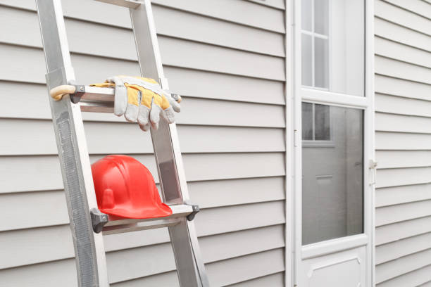 Best Hoarding Cleanup  in Ballwin, MO
